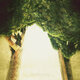 Cover art for album The North Wind and the Sun by The Green Kingdom