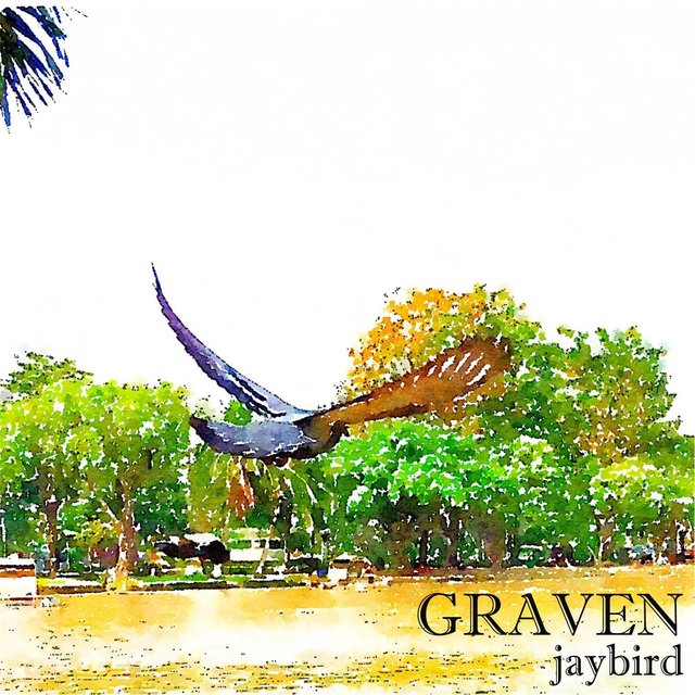 Jaybird
