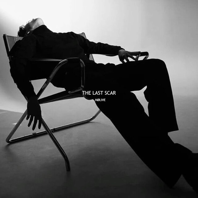 The Last Scar
