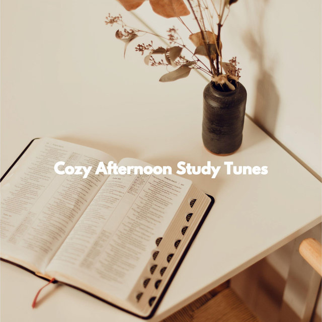Cozy Afternoon Study Tunes