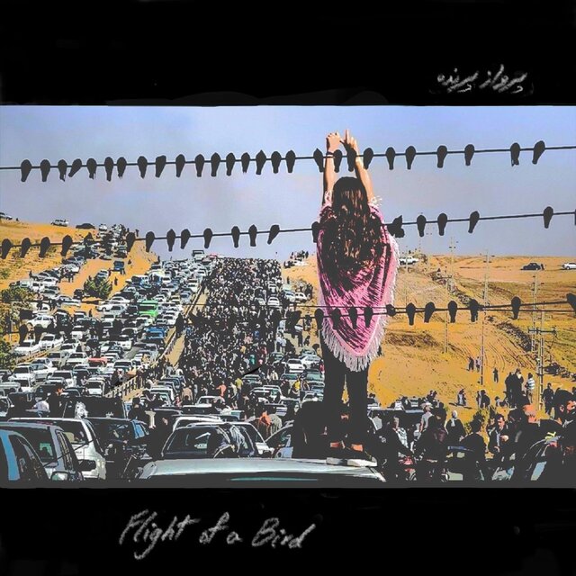 Flight of a Bird
