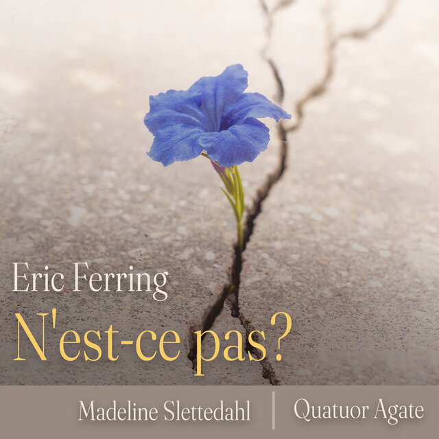 N'est-ce pas?