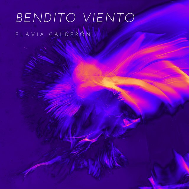 Bendito Viento (Live)