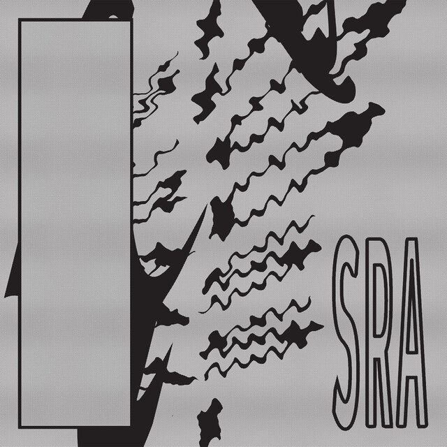 Cover art for album Reflection Spaces by Silk Road Assassins