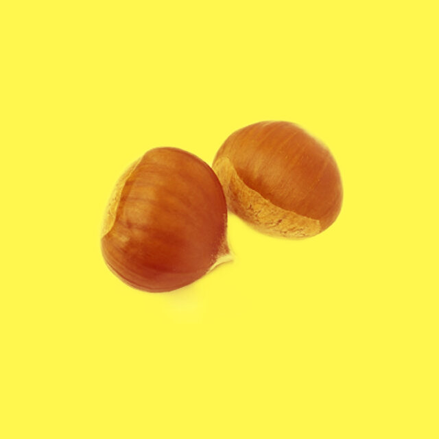 chestnut