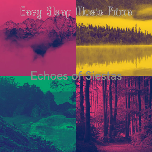 Echoes of Siestas