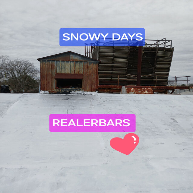 Snowy Days