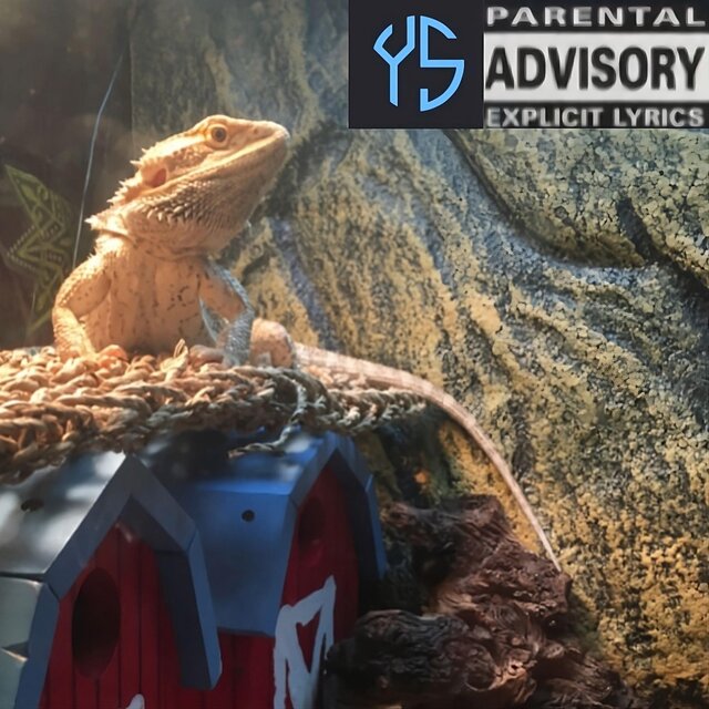 Schnooty Proprietary Blend:, Vol. 8