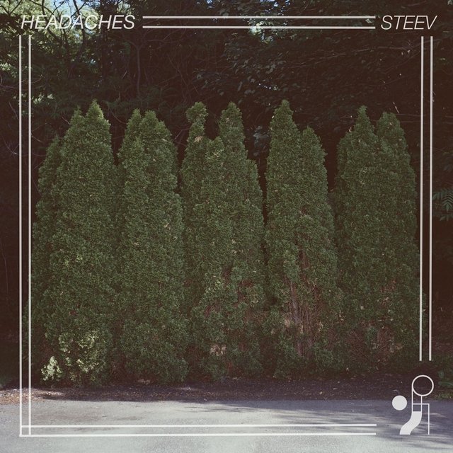 Steev