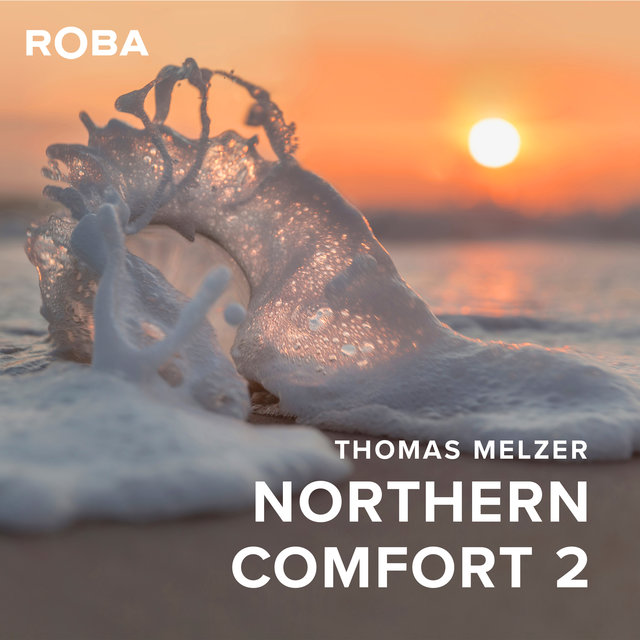 Cover art for album Northern Comfort 2 by Thomas Melzer
