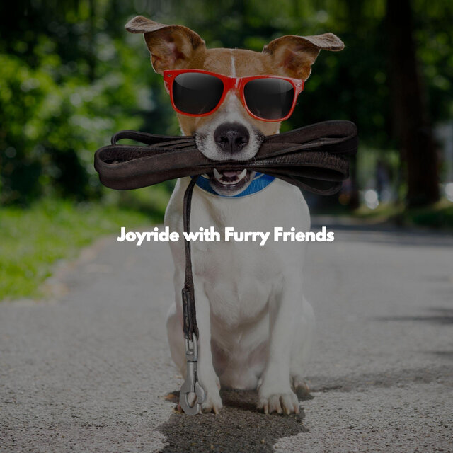 Joyride with Furry Friends