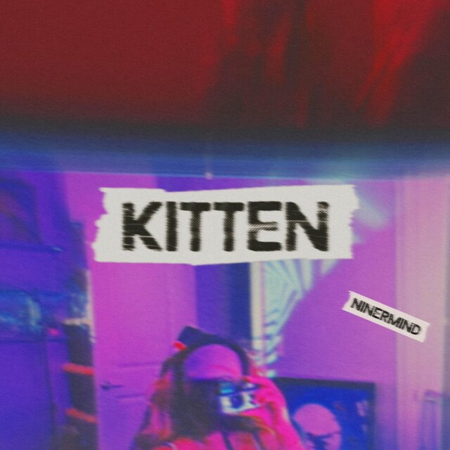 Kitten