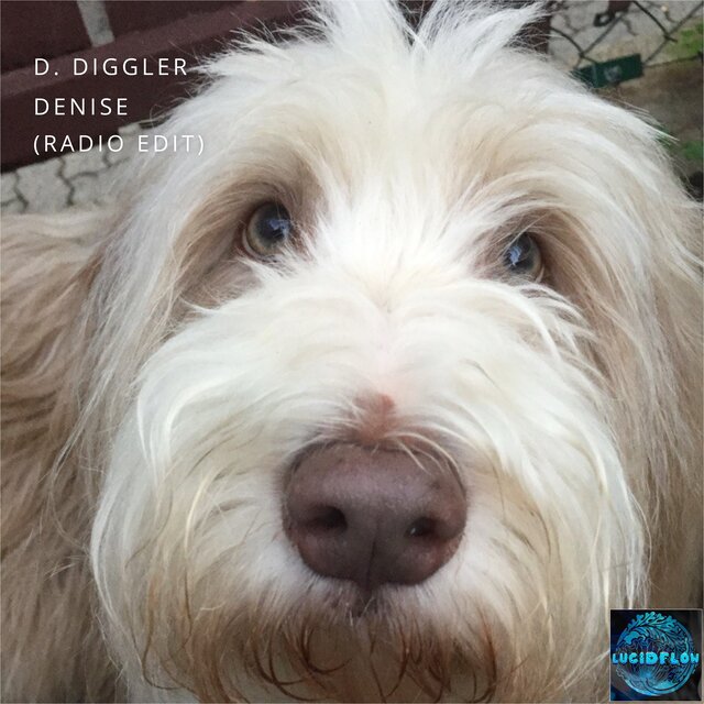 Denise (Radio Edit)