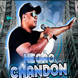 Taca Pinga Nela