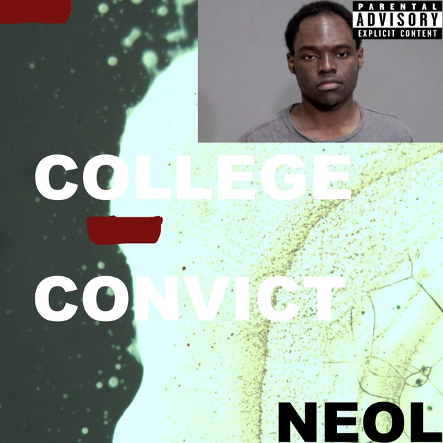 COLLEGE CONVICT