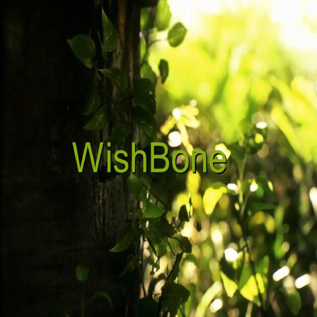Wishbone