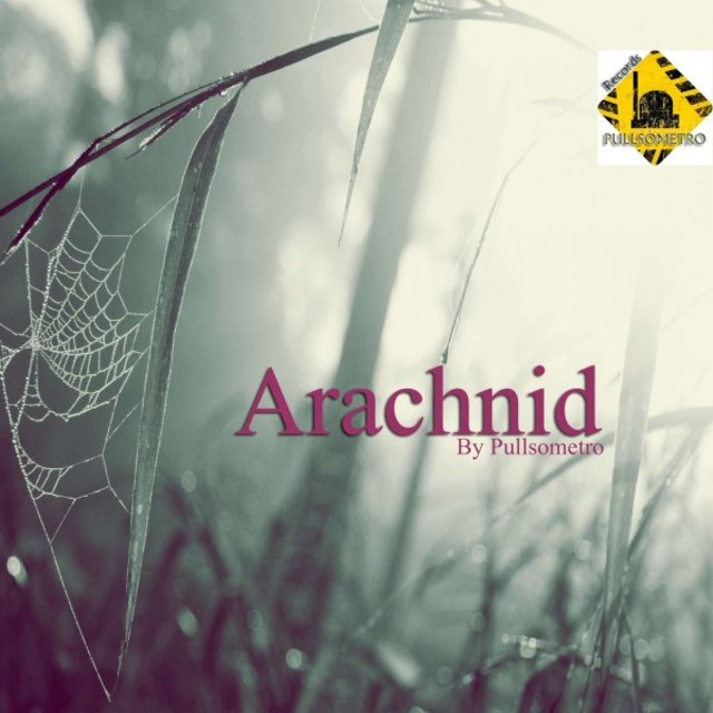 Arachnid