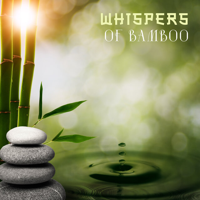 Whispers of Bamboo: A Symphony of Zen Meditation, Chinese Culture and Universal Harmony - Nature Sounds for Inner Peace and Balance