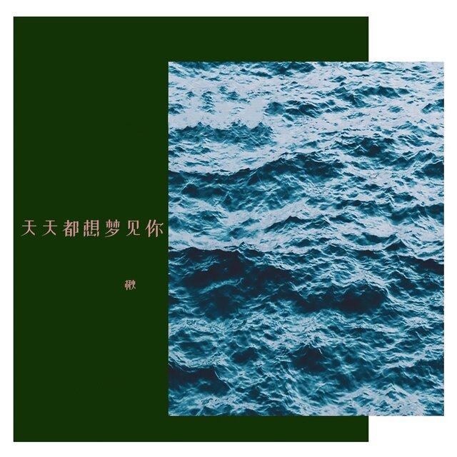 天天都想梦见你