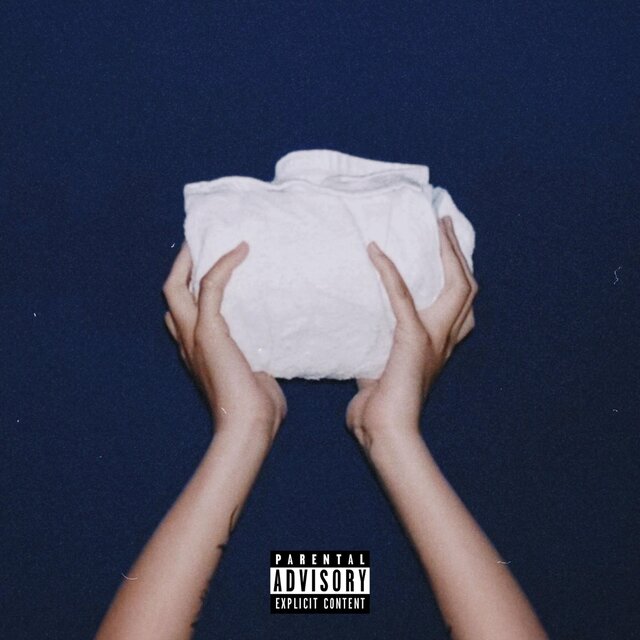 Shanaynay: The Album