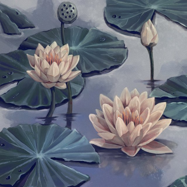 Lotus