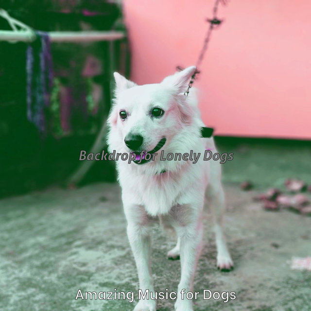 Backdrop for Lonely Dogs
