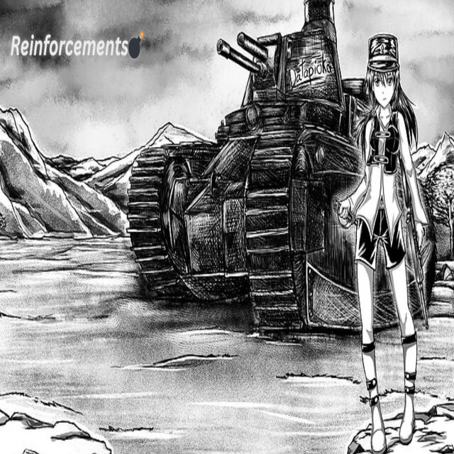 Reinforcements