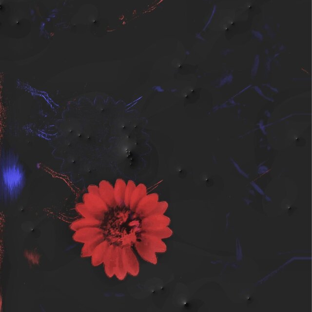 scarlettblossom