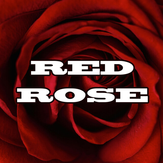 Red Rose