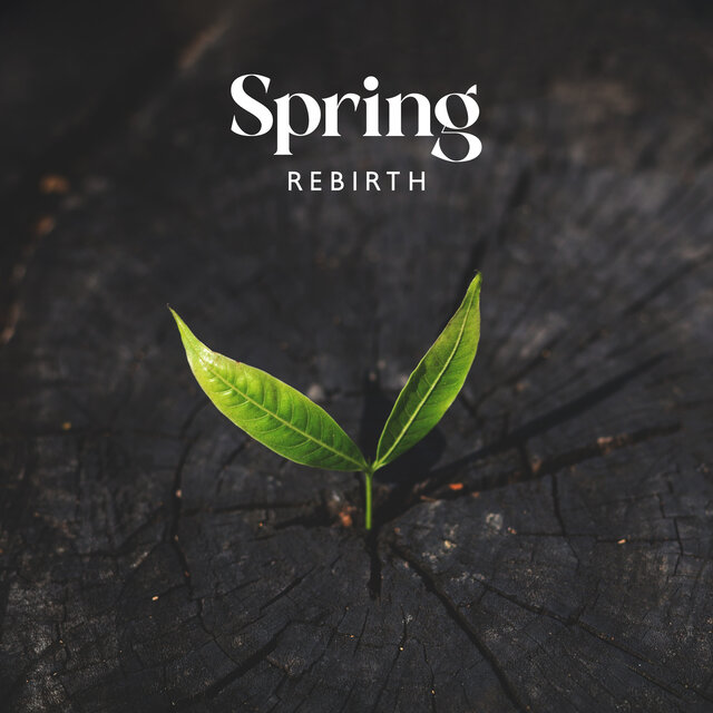 Spring Rebirth