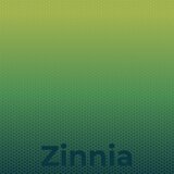 Zinnia