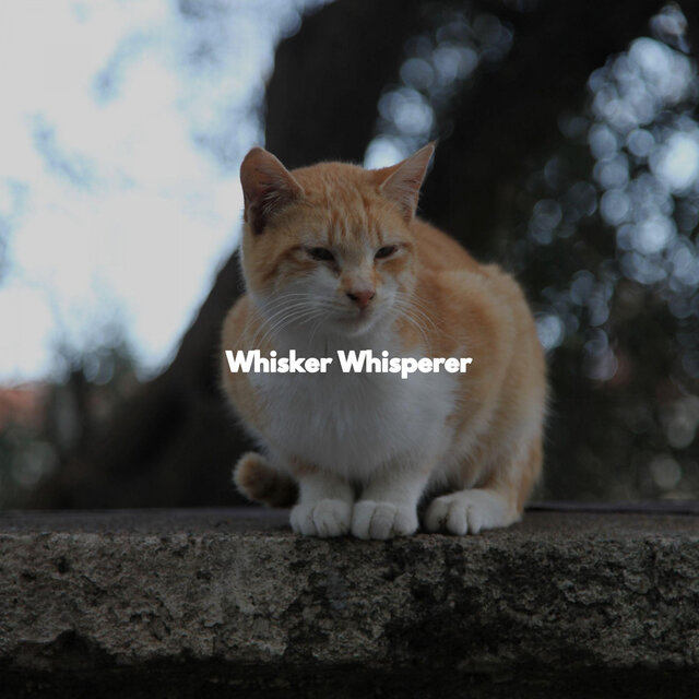 Whisker Whisperer