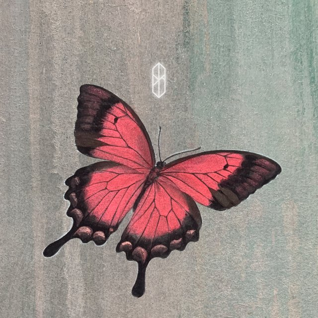 Dream 6 - LOVECONTROL