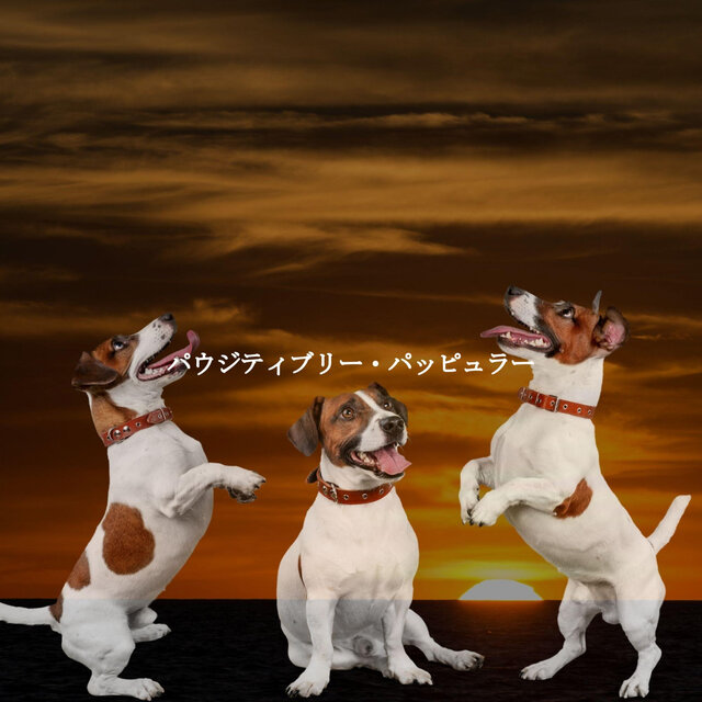 パウジティブリー・パッピュラー