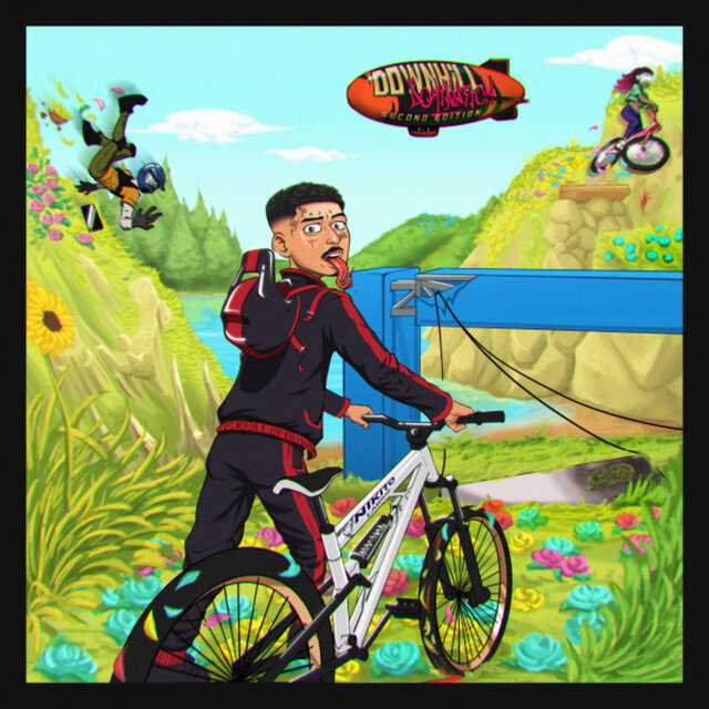 Downhill Domination (SECOND EDITION)