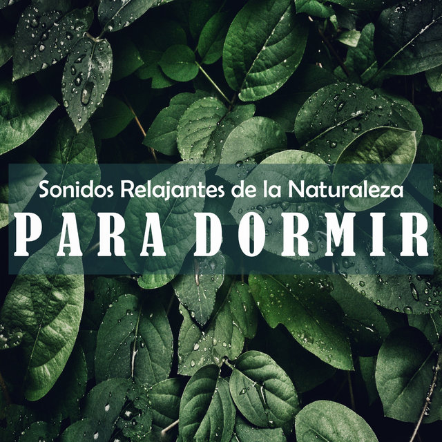 Sonidos Relajantes de la Naturaleza Para Dormir