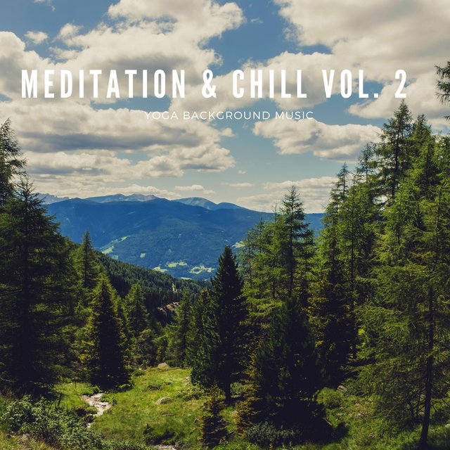Meditation & Chill Vol.2