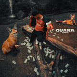 Lobo Guara