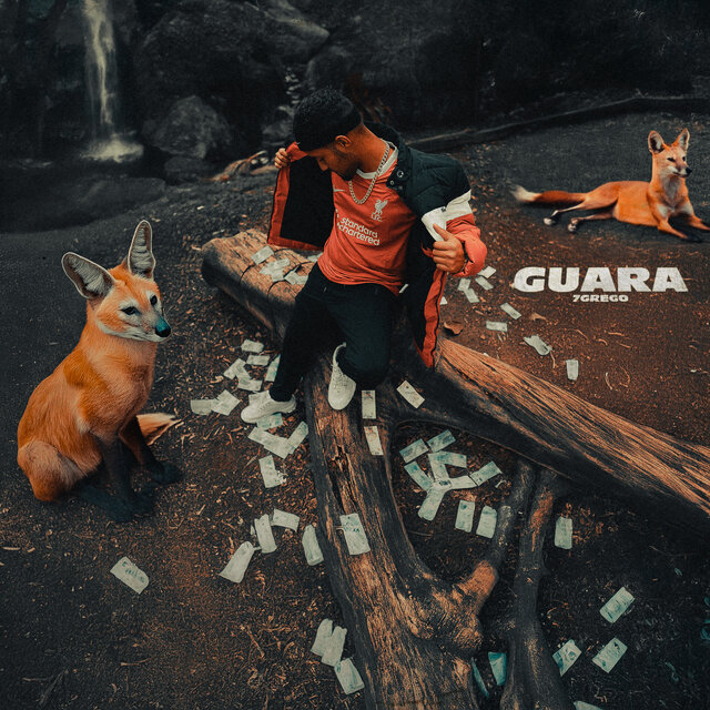 Lobo Guara