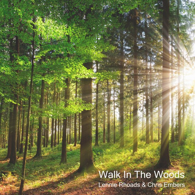 A Walk In The Woods