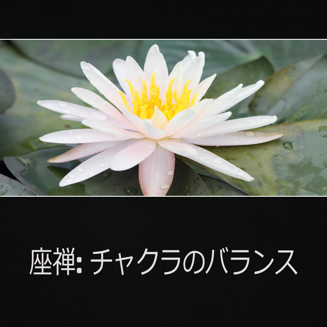 座禅 (チャクラのバランス, レイキヒーリング音楽, マインドフルネス瞑想)