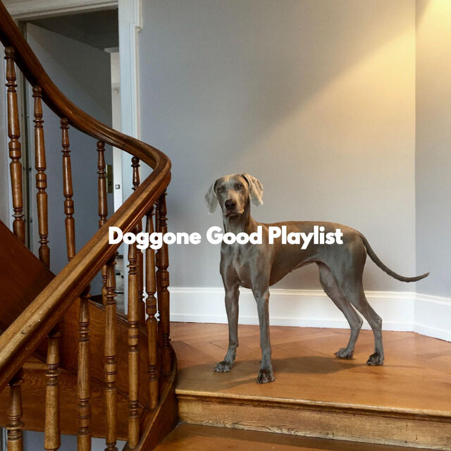 Doggone Good Playlist