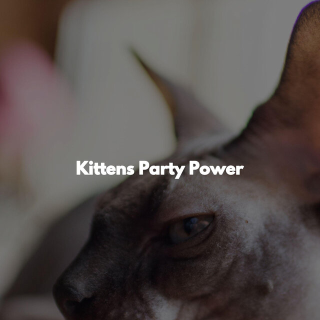 Kittens Party Power
