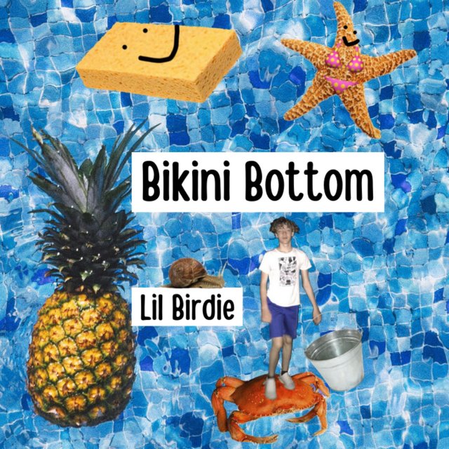 Bikini Bottom
