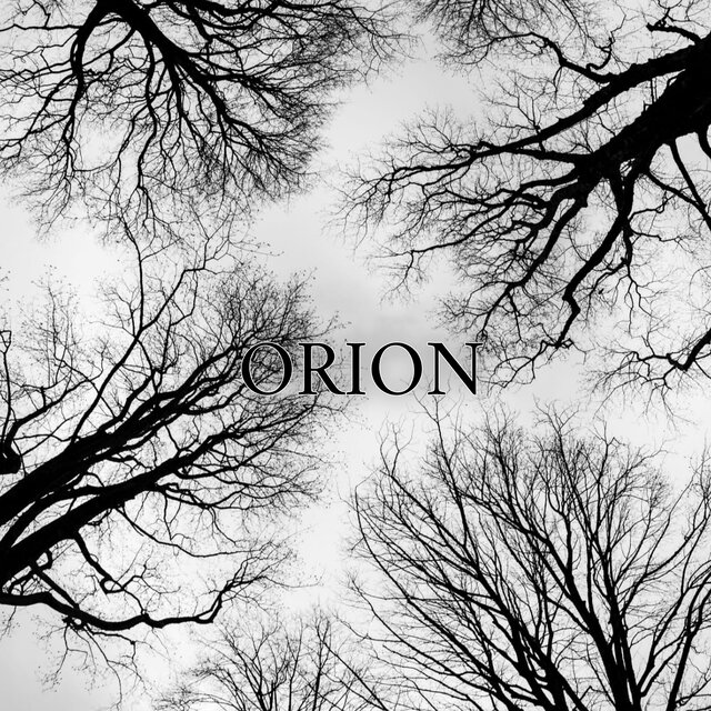 Orion