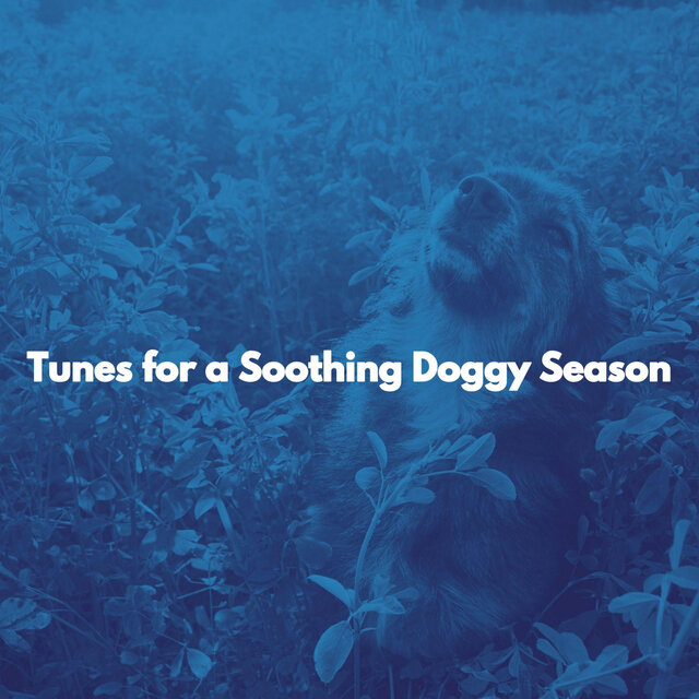 Tunes for a Soothing Doggy Season