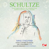 Concerto for Flute, Strings and Basso Continuo in G Major: III. Vivace
