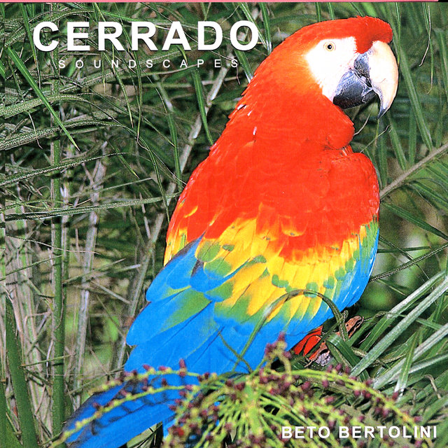 CERRADO (Savanna)