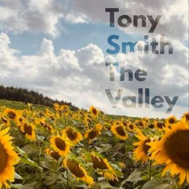 The Valley