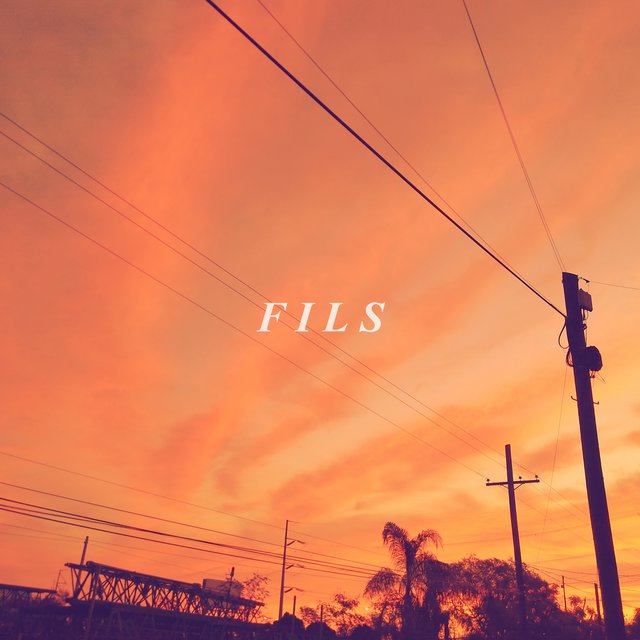F I L S
